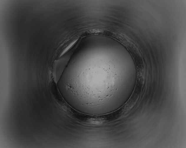 X0000095690556200801291219