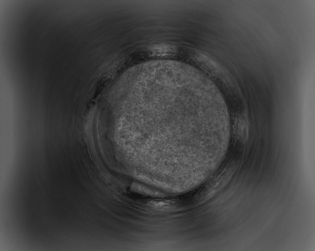 X0000095690557200801291219