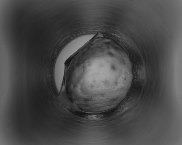 X0000095690558200801291219