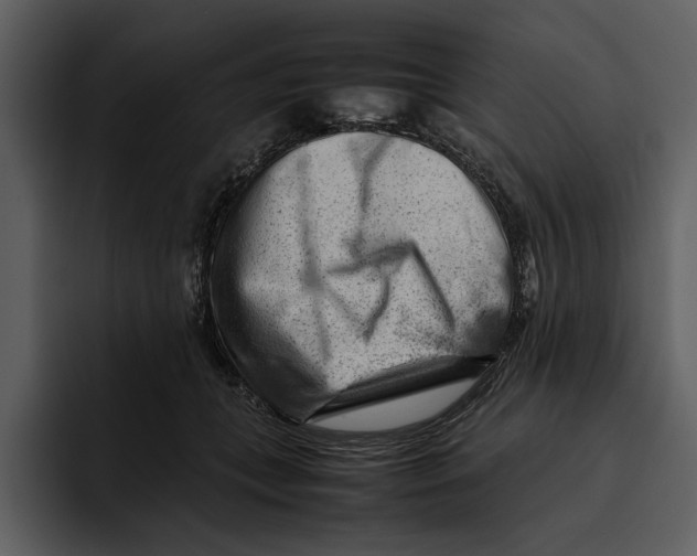 X0000095690559200801291219