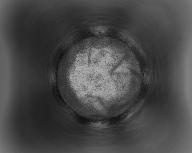 X0000095690561200801291219