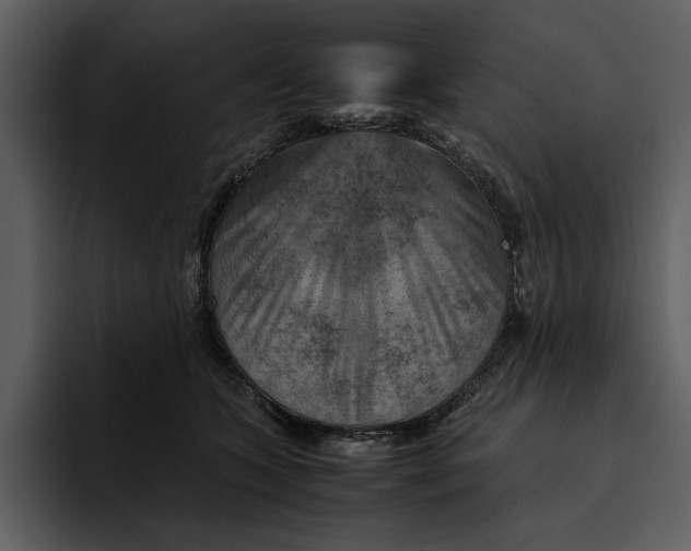 X0000095690563200801291219