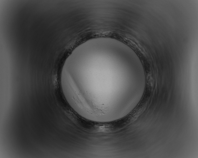 X0000095690564200801291219