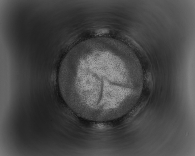 X0000095690565200801291219