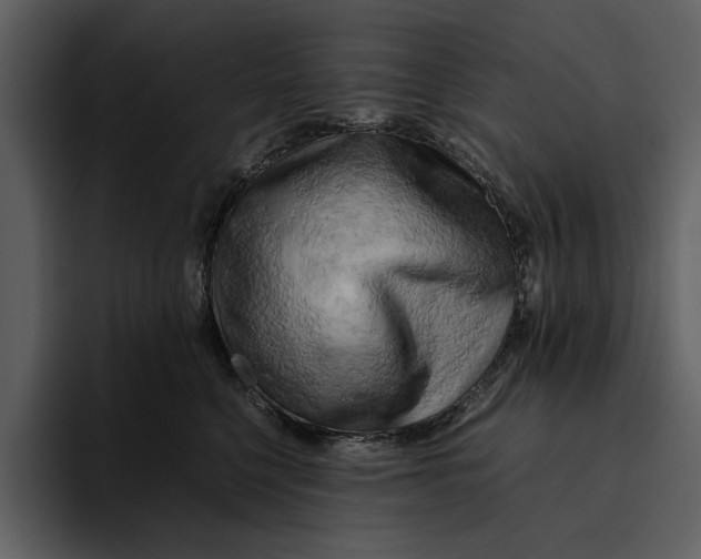 X0000095690568200801291219