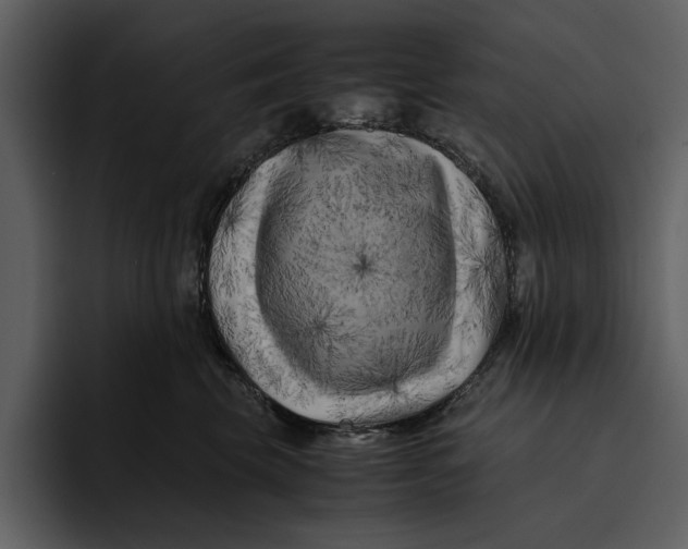 X0000095690569200801291219