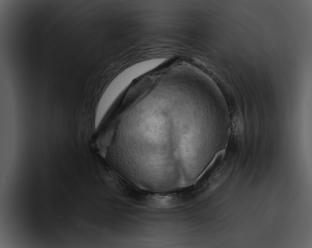 X0000095690570200801291219