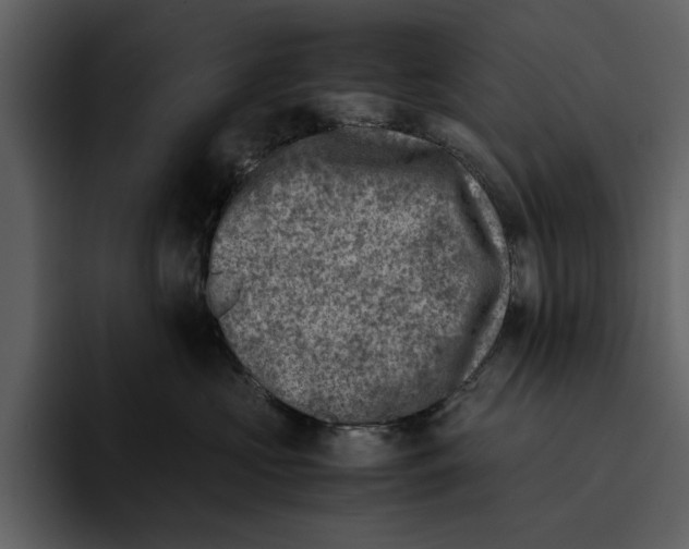 X0000095690573200801291219