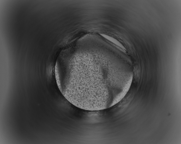 X0000095690574200801291219