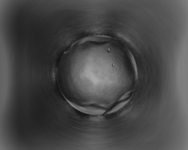 X0000095690576200801291219