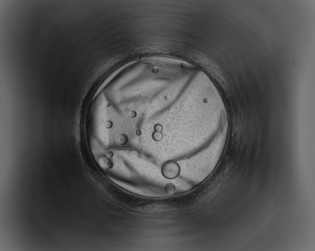 X0000095690578200801291219