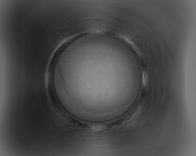 X0000095690579200801291219