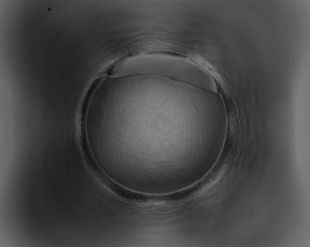 X0000095690581200801291219