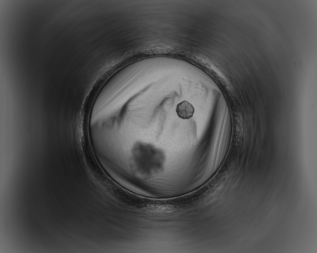 X0000095690582200801291219