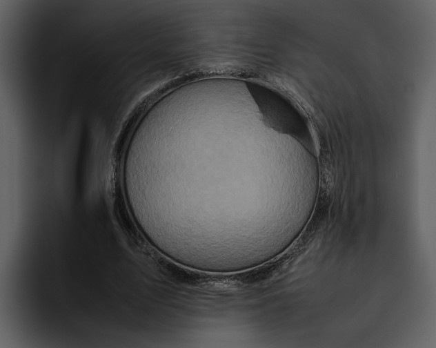 X0000095690583200801291219