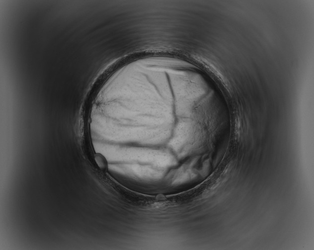 X0000095690584200801291219