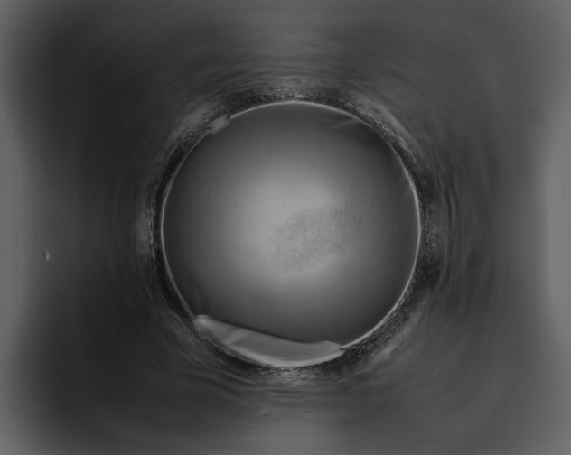 X0000095690585200801291219