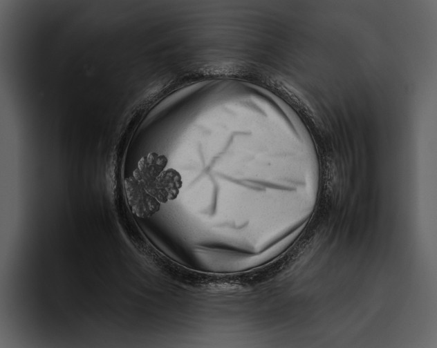 X0000095690586200801291219