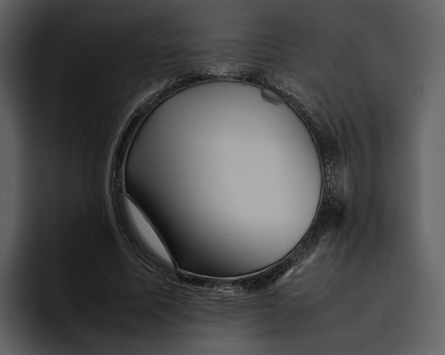 X0000095690587200801291219