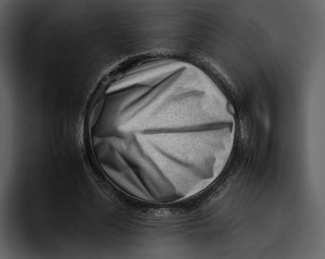 X0000095690588200801291219