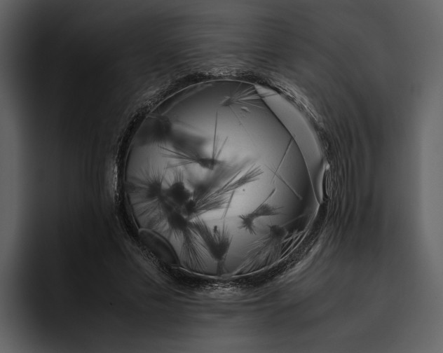 X0000095690589200801291219