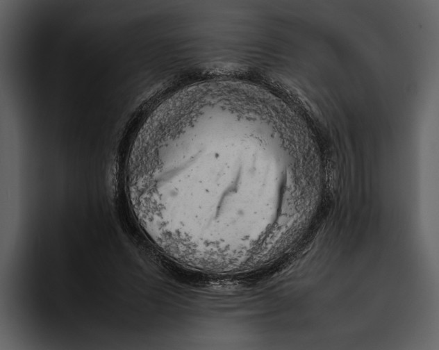 X0000095690591200801291219