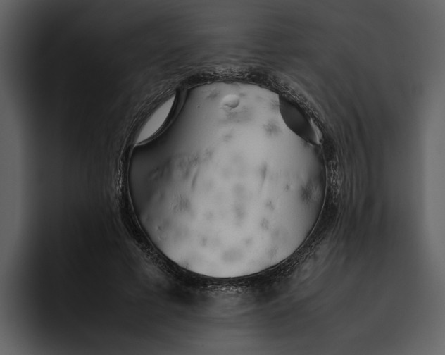 X0000095690593200801291219