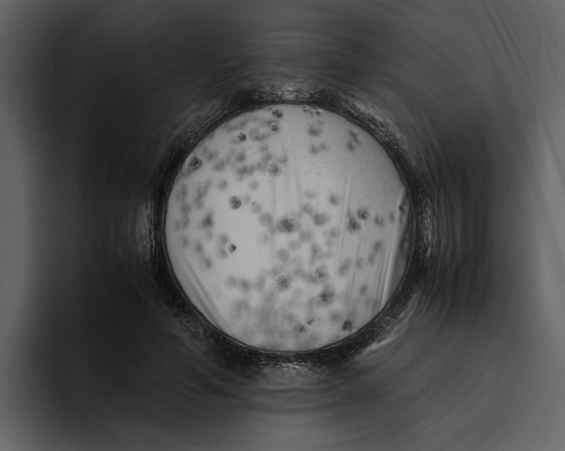 X0000095690594200801291219