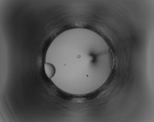 X0000095690595200801291219