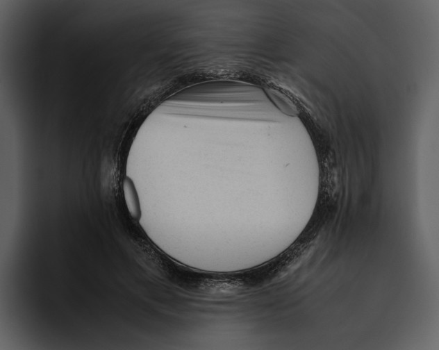 X0000095690597200801291219