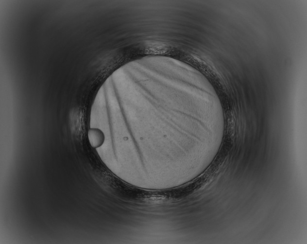 X0000095690598200801291218