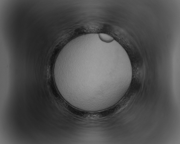 X0000095690599200801291218