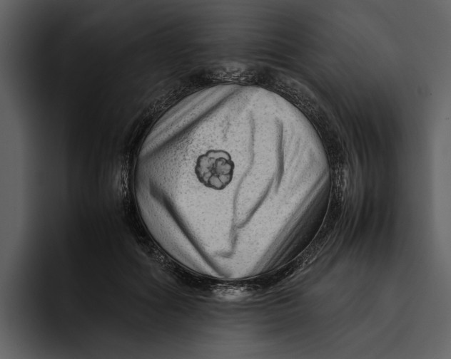 X0000095690602200801291218