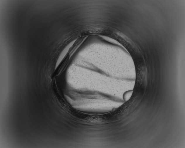 X0000095690604200801291218