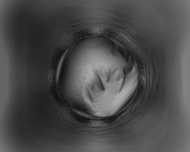 X0000095690605200801291218