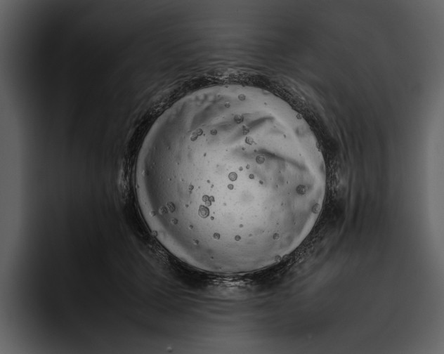 X0000095690607200801291218