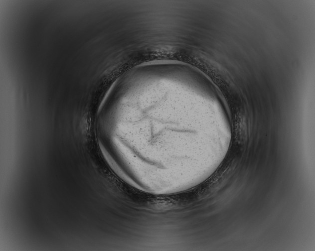 X0000095690608200801291218