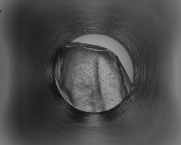 X0000095690609200801291218