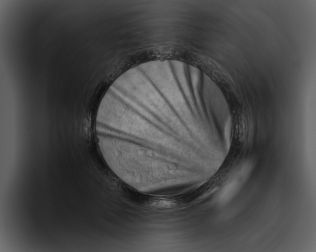 X0000095690610200801291218