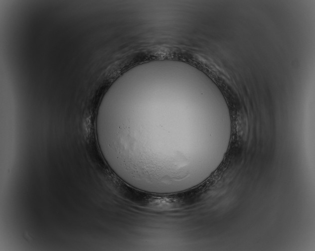 X0000095690611200801291218