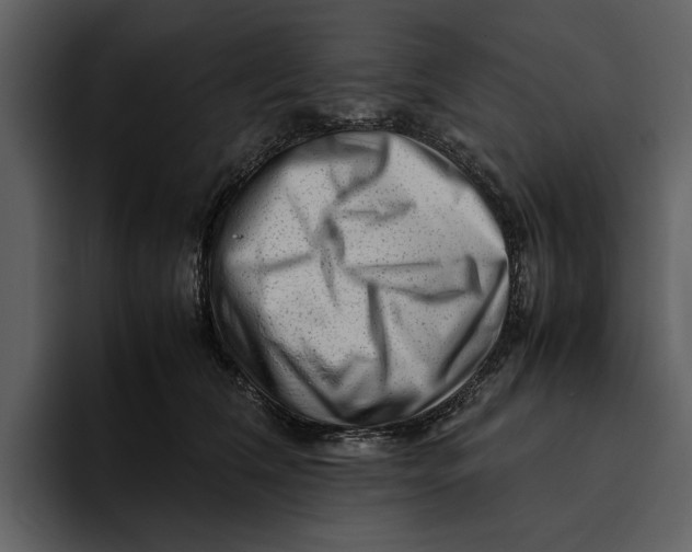 X0000095690612200801291218