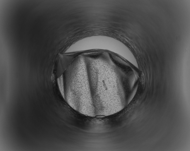 X0000095690613200801291218