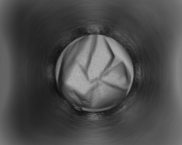 X0000095690616200801291218