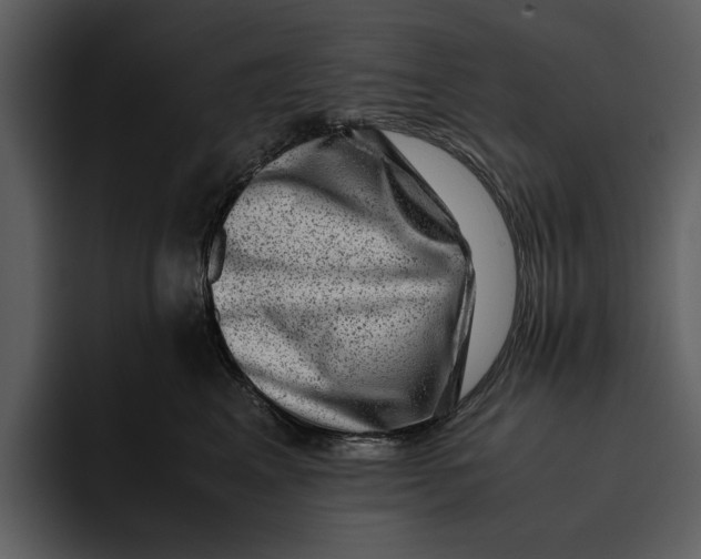 X0000095690617200801291218