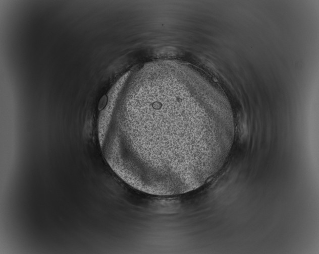 X0000095690619200801291218