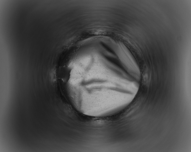 X0000095690620200801291218