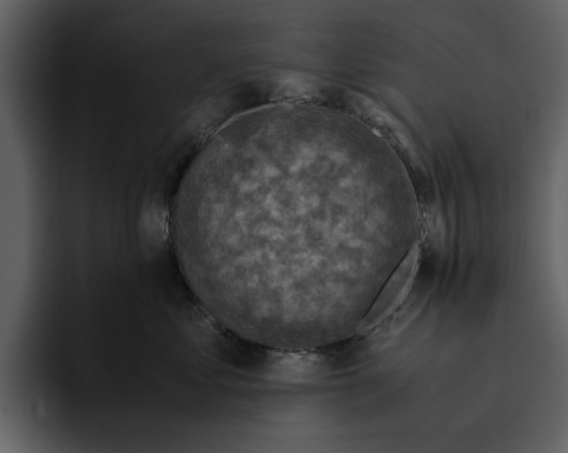 X0000095690621200801291218