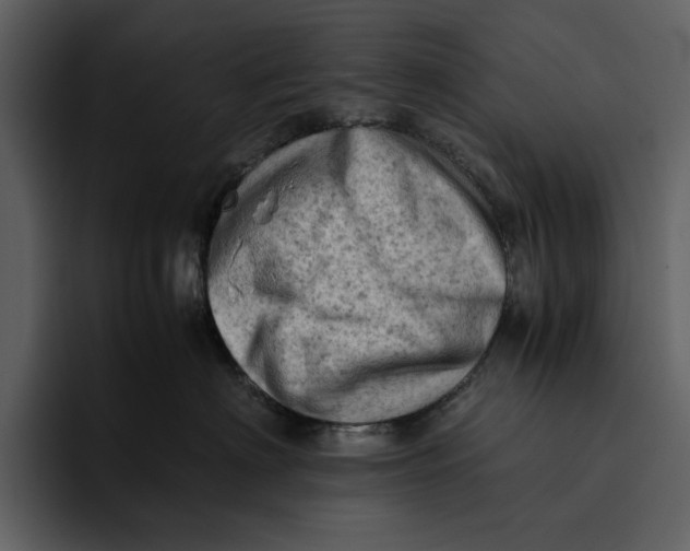 X0000095690622200801291218