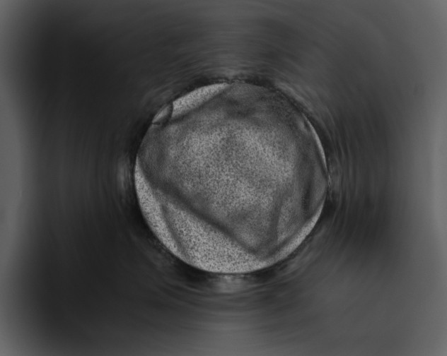 X0000095690623200801291218