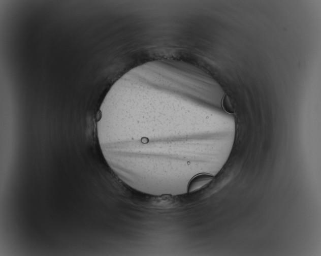 X0000095690624200801291218